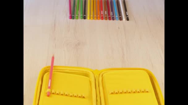 Stop Motion Lápis Colorido Entrando Uma Caixa Lápis Amarelo — Vídeo de Stock