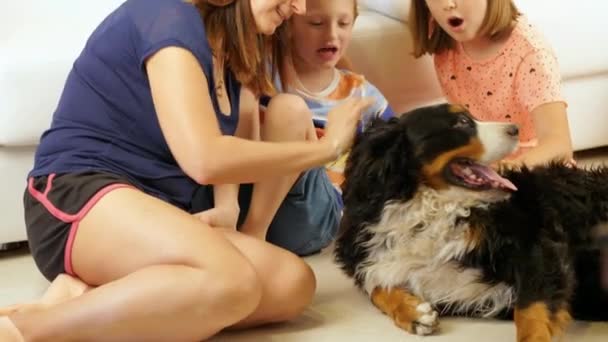 Gyönyörű Bernese Hegyi Kutya Megkapja Kényeztetés Tulajdonosok Feküdt Padlón — Stock videók