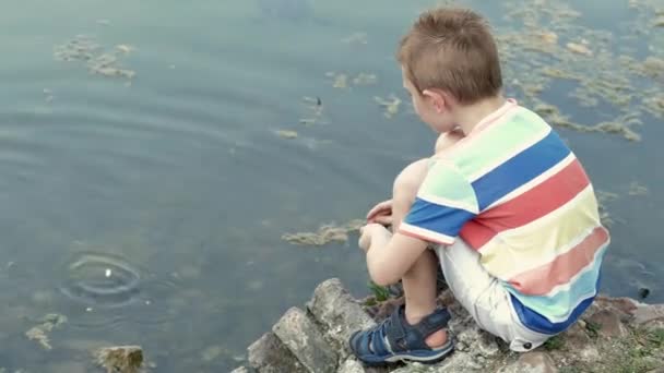 Jeune Enfant Amusant Nourrir Les Tortues Parc — Video