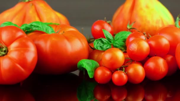 Groupe Tomates Différentes Avec Feuille Basilic Sur Fond Noir — Video