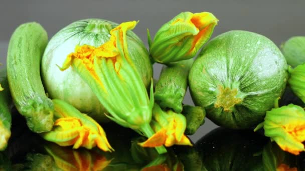 Group Different Type Zucchini Courgette Flowers — Stock Video