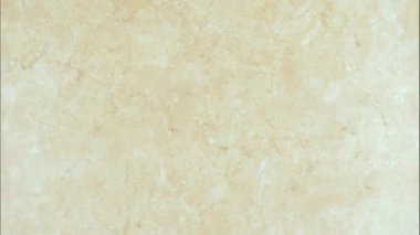 Japon suşi yemeği. Maki ve rulo ton balığı, somon, karides, yengeç ve avokado. Çeşitli suşiler. Hareketi durdur