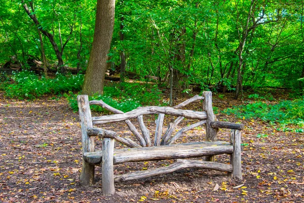 Скамейка Дерева Центральном Парке Нью Йорка — стоковое фото