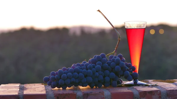 日没時に赤ワインと黒ブドウのグラス — ストック写真