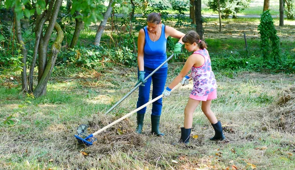 Kvinna Och Hennes Dotter Arbetar Trädgården Samla Nyklippt Torrt Gräs — Stockfoto