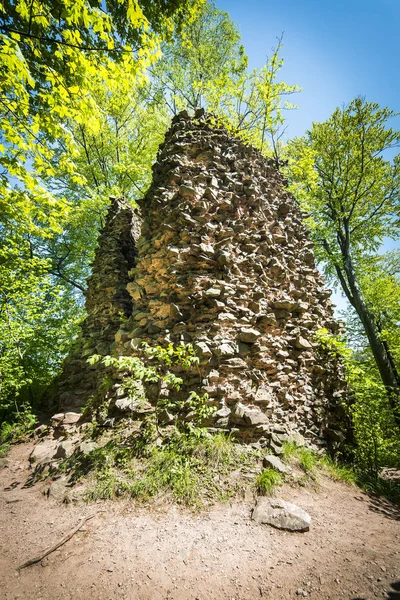 Radosno 城堡遗址 — 图库照片