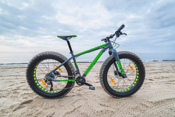 Tlustý kolo na pláži — Stock fotografie