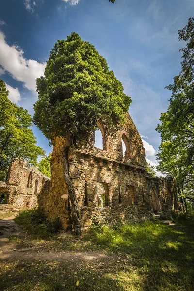 Ruiny starých zámek Ksiaz — Stock fotografie