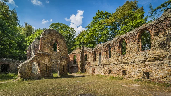 Rovine del vecchio castello di Ksiaz — Foto Stock