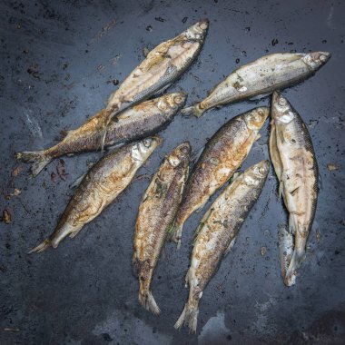 Kızarmış ortak beyaz balık