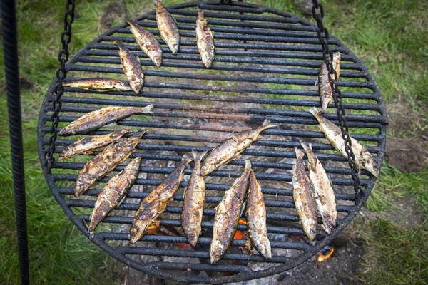 Gebratene Felchen — Stockfoto