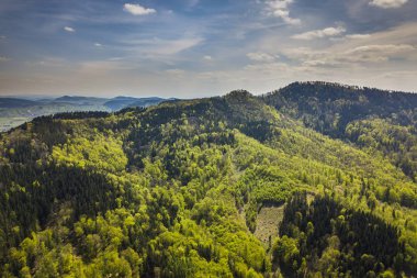 Sudetes Rogowiec dağ