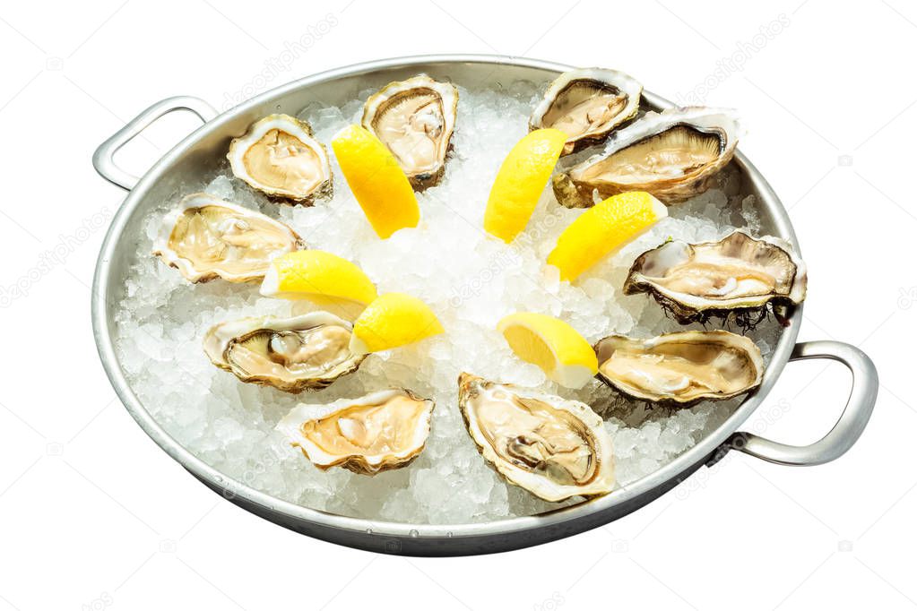 Fresh oysters on ice with lemon close up. Restaurant dish on a plate.