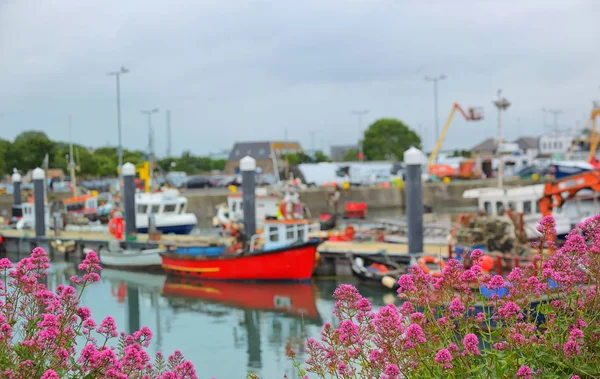 Howth Harbour Dublin Irland — Stockfoto