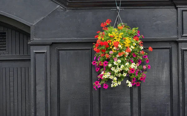 Fleurs Sur Façade Traditionnelle Pub Irlandais — Photo