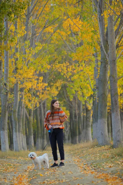 Menina Adolescente Com Cão Maltês Floresta — Fotografia de Stock