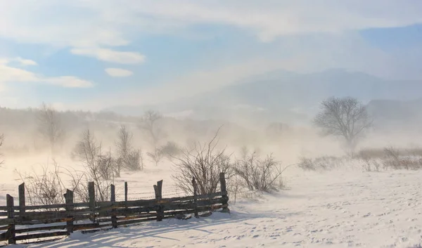 Zimowe Pola Czasie Burzy Górach Rumunii — Zdjęcie stockowe