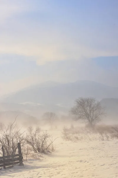 Champ Hiver Dans Une Tempête Roumanie Montagnes — Photo