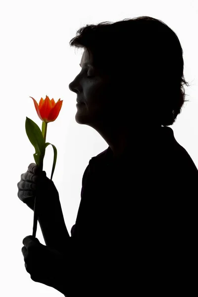 Silhouette woman and tulip — Stock Photo, Image