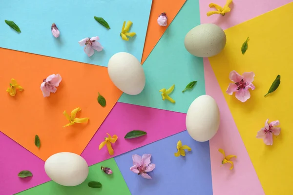 Huevos sin pintar y flores de primavera — Foto de Stock