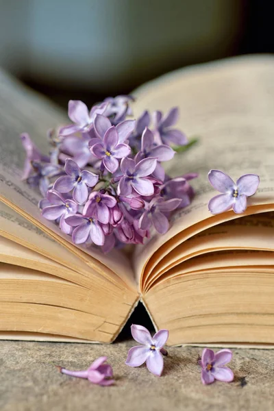 Fiori lilla con libro aperto — Foto Stock