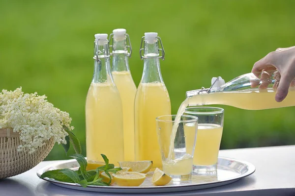 Erfrischende Frühlingsblume Holunderblüten herzlich — Stockfoto