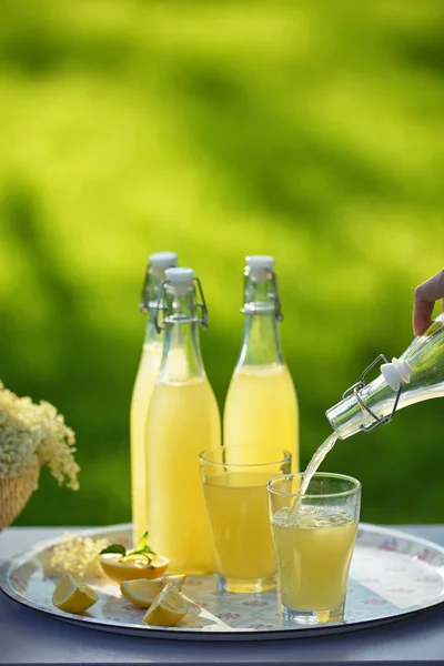 Refrescante primavera flor de saúco cordial —  Fotos de Stock