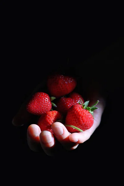 Strawberry  in Woman Hand — Stock Photo, Image