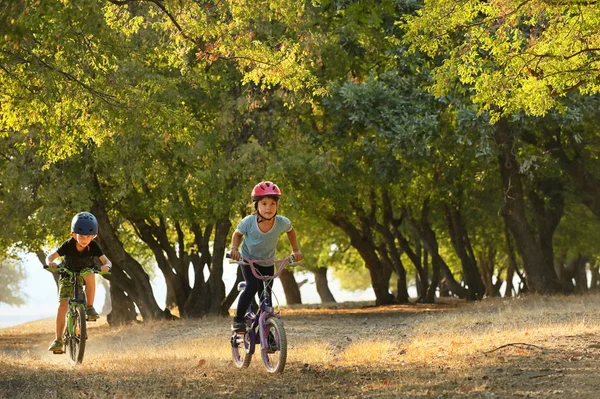 Kids cycling on forest — Stock Photo, Image