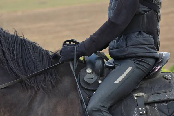 Adolescente con un caballo — Foto de Stock