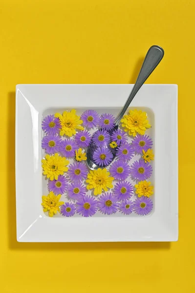 Sonbahar çiçekleri ile tabak çanak — Stok fotoğraf