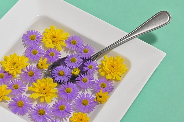 Prato de prato com flores do outono — Fotografia de Stock