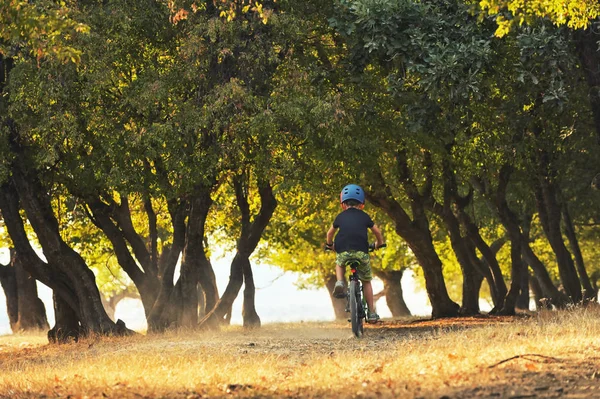 Μικρό αγόρι ποδηλασία στο δάσος — Φωτογραφία Αρχείου