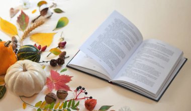 Sonbahar dekorasyonu ve açık kitap