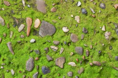 Soyut Taş Beton Döşeme Döşeme Döşeme Arkaplanı