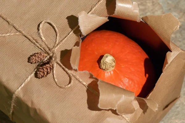 Abstract Autumn Pumpkin Open Present Gift Box — Stock Photo, Image