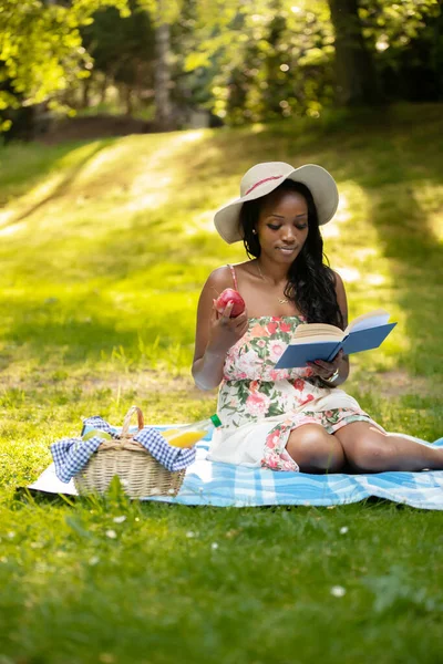 Привлекательная Африканская Женщина Читает Книгу Пикнике Лицензионные Стоковые Изображения
