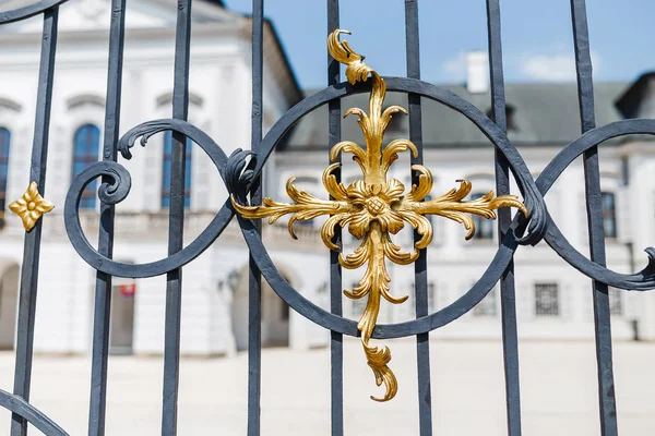 Elementos Ferro Ornamentado Ouro Decoração Portão — Fotografia de Stock