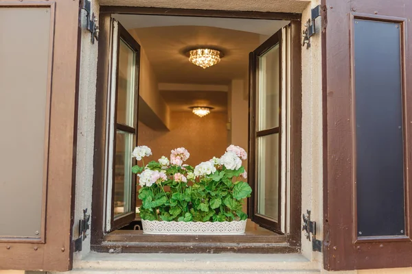 Typical European Window With opened Wooden Shutters, Decorated With green Flowers