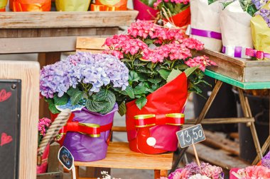 Yakın çekim güzel çiçek dükkanında Satılık çeşitli buketleri