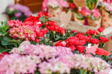 Yakın çekim güzel çiçek dükkanında Satılık çeşitli buketleri