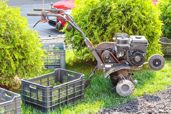 Kultywator Obok Pola Kwiatów Trawnik Kwietnik Ogrodnicze Usługi Koncepcja — Zdjęcie stockowe