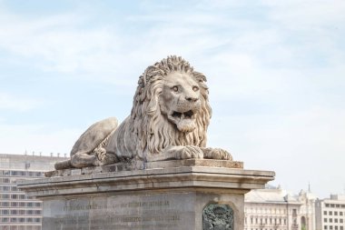 Budapeşte'Tuna Nehri boyunca taş aslandan Chain Bridge korkutmak