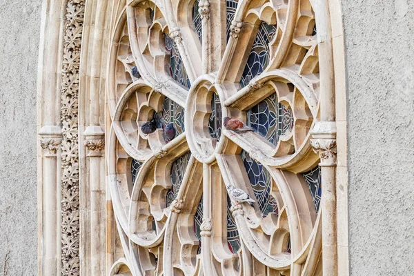 Duvor Som Vilar Gotiska Fönstret Historiska Kyrkan Eller Katedralen — Stockfoto