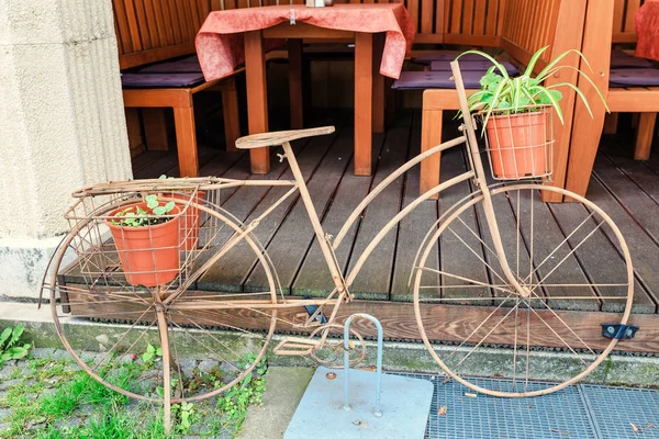 Vintage Wooden Bicycle Decoration Flower Basket Restaurant — Stock Photo, Image