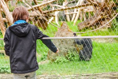 maymun hayvanat bahçesinde bakarak genç çocuk