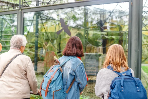 Mei 2018 Berlin Jermany Orang Orang Menonton Hewan Kebun Binatang — Stok Foto