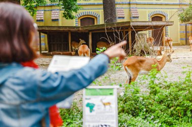 Kadın zoolog işaret parmağı bir kırmızı leche antilop bir Hayvanat Bahçesi'nde veya bir Safari için