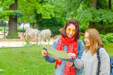 Two girls friends students looking at map in the background of zebra animals in the Zoo, leisure and zoology concept clipart