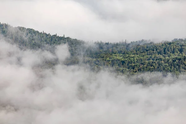 Niebla Valle Entre Montañas Boscosas — Foto de Stock